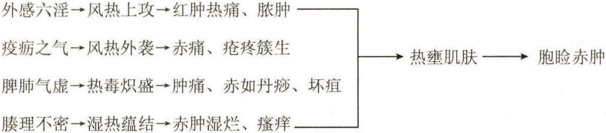 第三节 内、外障辨证